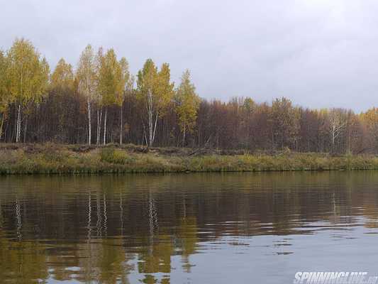 Изображение 1 : Завершение голавлиного сезона.